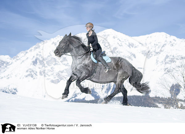 Frau reitet Noriker / woman rides Noriker Horse / VJ-03138