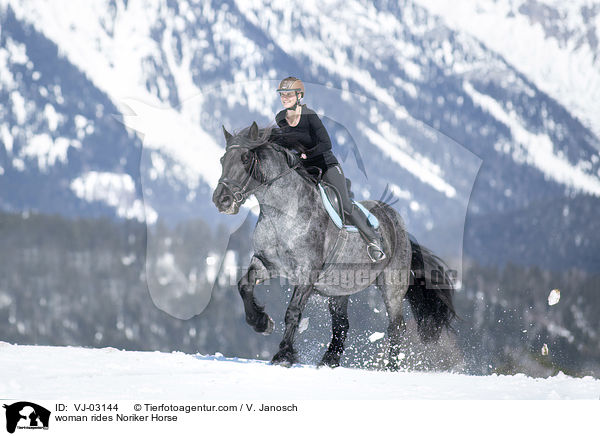 Frau reitet Noriker / woman rides Noriker Horse / VJ-03144