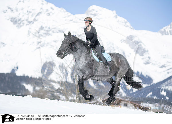 Frau reitet Noriker / woman rides Noriker Horse / VJ-03145