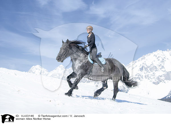 woman rides Noriker Horse / VJ-03146