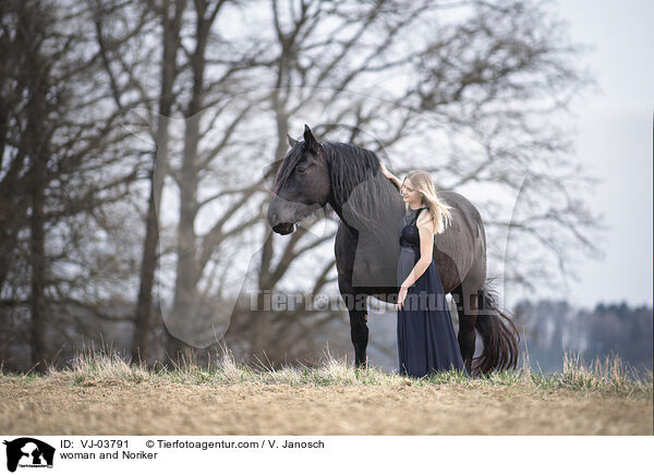 Frau und Noriker / woman and Noriker / VJ-03791