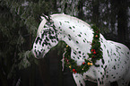 horse with christmas decoration