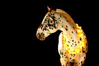 horse with christmas decoration