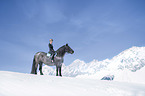 woman rides Noriker Horse