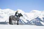 woman rides Noriker Horse