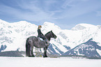 woman rides Noriker Horse