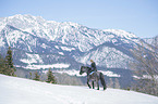 woman rides Noriker Horse