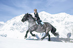 woman rides Noriker Horse