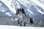 woman rides Noriker Horse