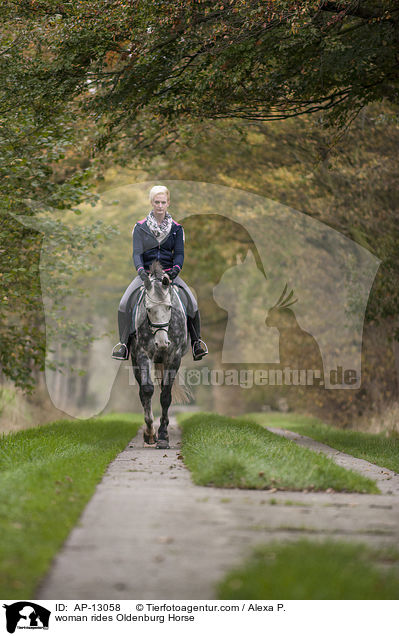 Frau reitet Oldenburger / woman rides Oldenburg Horse / AP-13058