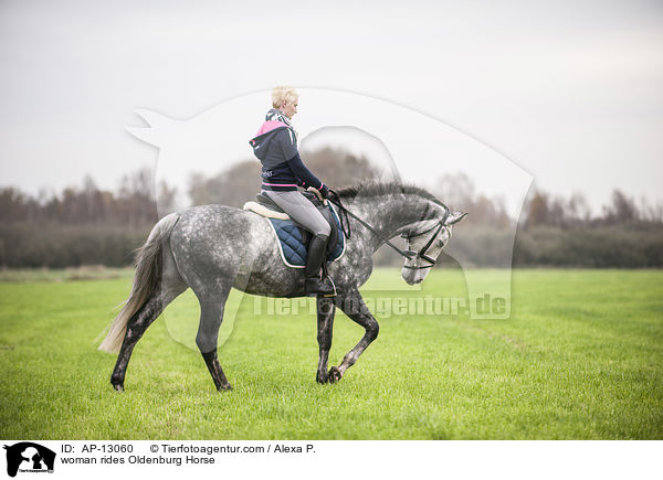 Frau reitet Oldenburger / woman rides Oldenburg Horse / AP-13060