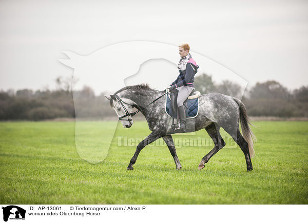 Frau reitet Oldenburger / woman rides Oldenburg Horse / AP-13061