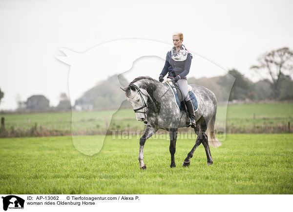 Frau reitet Oldenburger / woman rides Oldenburg Horse / AP-13062
