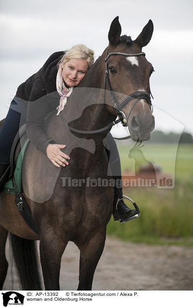 Frau und Oldenburger / woman and Oldenburg Horse / AP-13392
