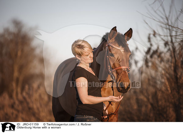 Oldenburger mit Frau / Oldenburg Horse with a woman / JRO-01159
