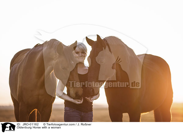 Oldenburger mit Frau / Oldenburg Horse with a woman / JRO-01162