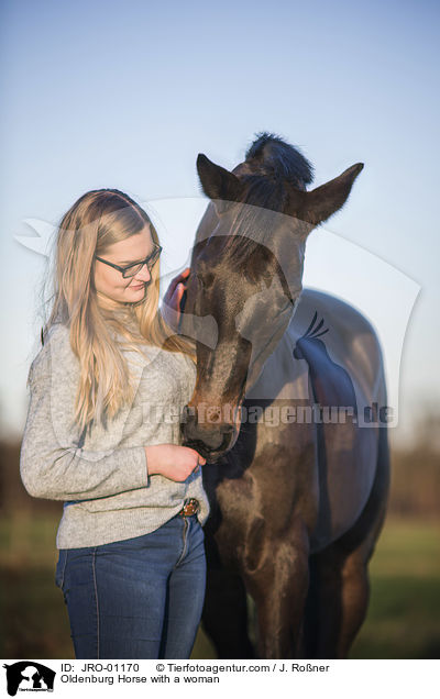 Oldenburg Horse with a woman / JRO-01170