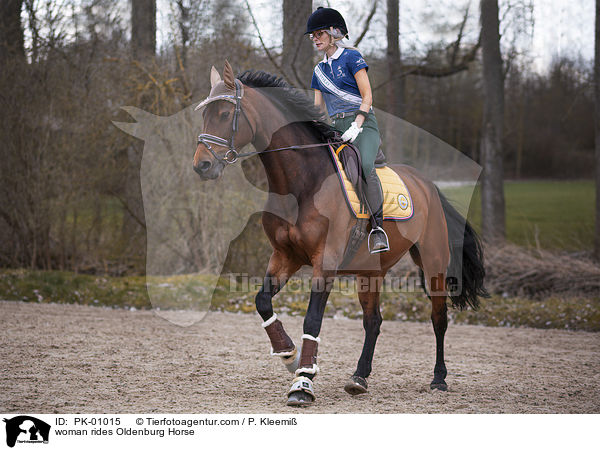 Frau reitet Oldenburger / woman rides Oldenburg Horse / PK-01015