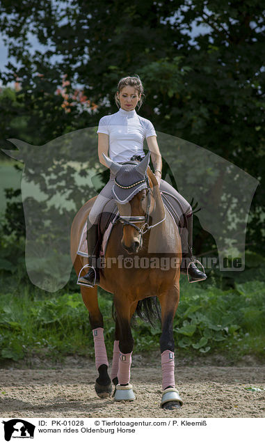 Frau reitet Oldenburger / woman rides Oldenburg Horse / PK-01028