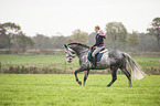 woman rides Oldenburg Horse