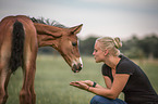 woman and Oldenburg Horse foal