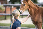 Oldenburg Horse