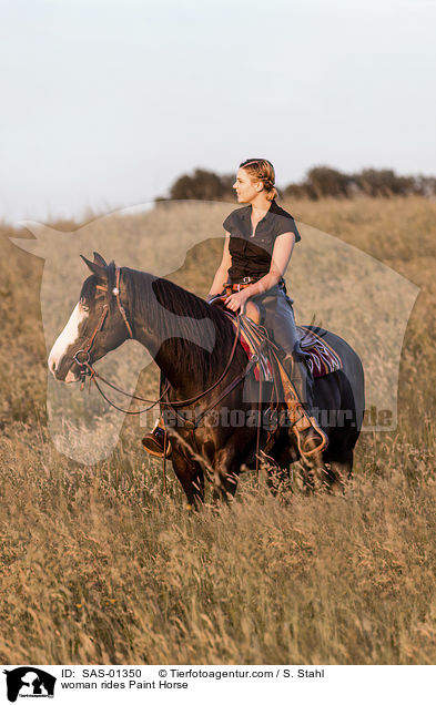 Frau reitet Paint Horse / woman rides Paint Horse / SAS-01350