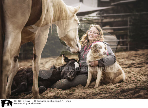 Frau, Hund und Pferde / woman, dog and horses / KFI-01957