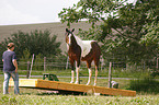 woman with Paint Horse