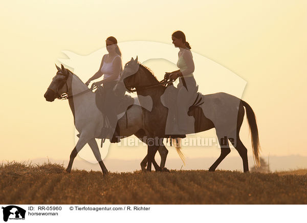 tltende Paso Finos / horsewoman / RR-05960