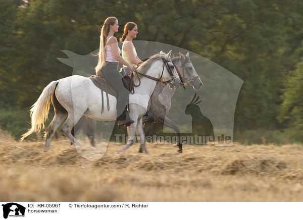 tltende Paso Finos / horsewoman / RR-05961