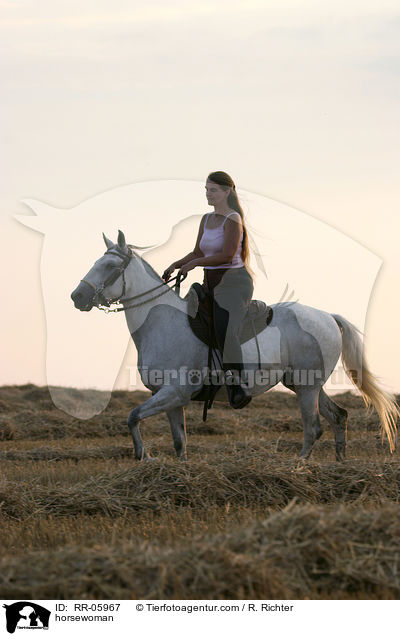 tltende Paso Finos / horsewoman / RR-05967