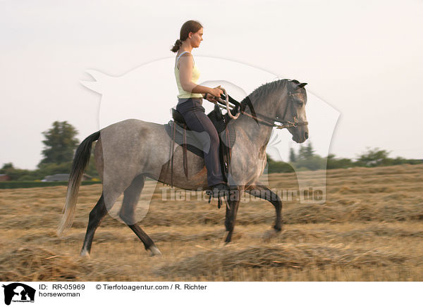 tltende Paso Finos / horsewoman / RR-05969