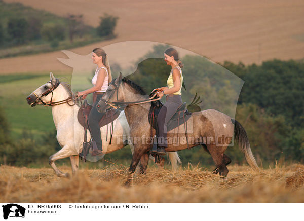 tltende Paso Finos / horsewoman / RR-05993