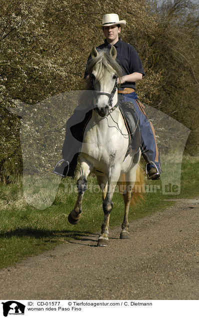 woman rides Paso Fino / CD-01577