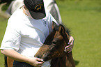 woman and Paso Fino foal