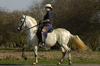 woman rides Paso Fino