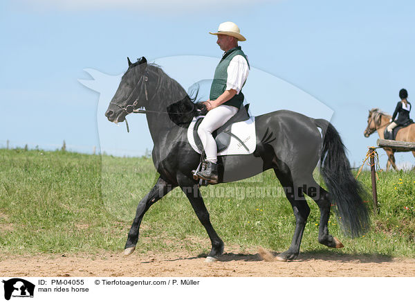 Mann reitet Paso Peruano / man rides horse / PM-04055
