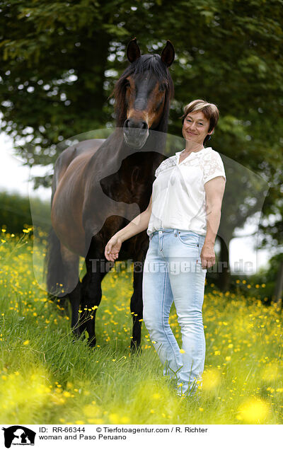 Frau und Paso Peruano / woman and Paso Peruano / RR-66344