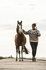 woman and Paso Peruano