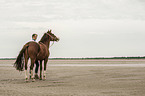 woman and Paso Peruano