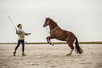 woman and Paso Peruano