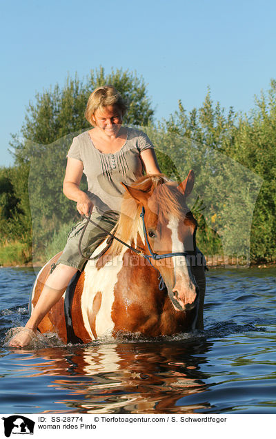 Frau reitet Pinto / woman rides Pinto / SS-28774