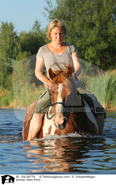 Frau reitet Pinto / woman rides Pinto / SS-28779