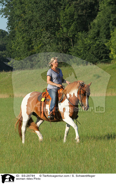 Frau reitet Pinto / woman rides Pinto / SS-28784