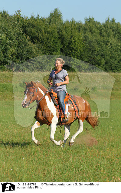 Frau reitet Pinto / woman rides Pinto / SS-28788