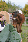 woman and pinto