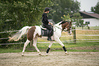 woman rides Pinto