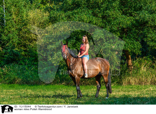 Frau reitet Polnisches Warmblut / woman rides Polish Warmblood / YJ-15044