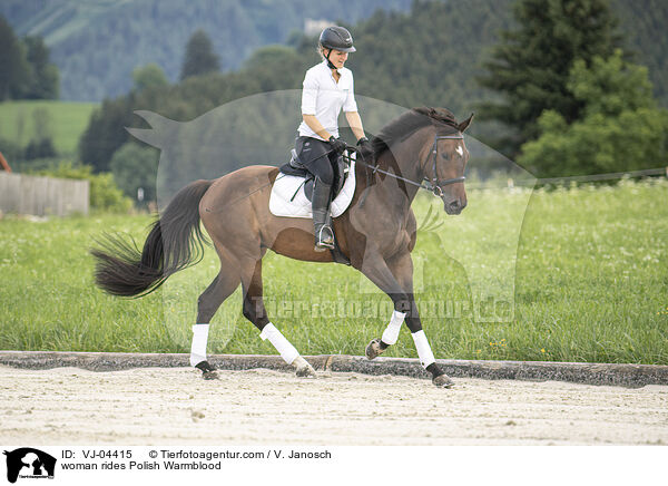 Frau reitet Polnisches Warmblut / woman rides Polish Warmblood / VJ-04415